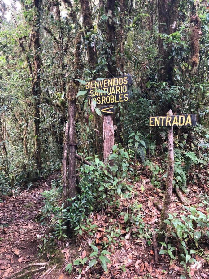 Cabana De Montana La Magnolia, Cerro De La Muerte De La Canuela Cloud Forest Tres de Junio 외부 사진